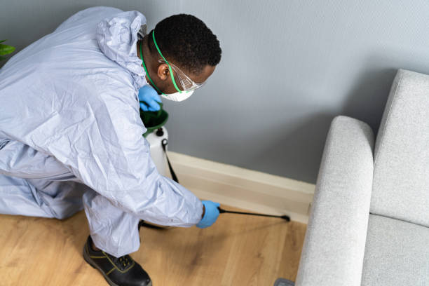 Best Residential Pest Control  in Memphis, MI